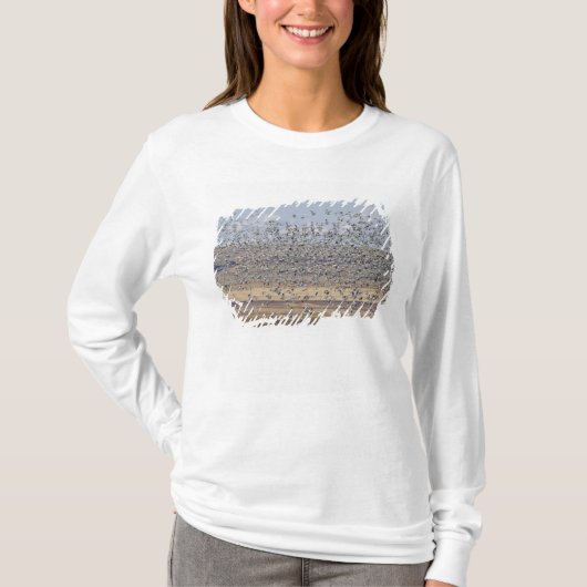 Gänse im Frühjahr T-Shirt (Vorderseite)