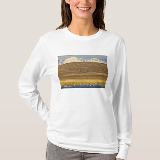 Gänse im Frühjahr T-Shirt (Vorderseite)