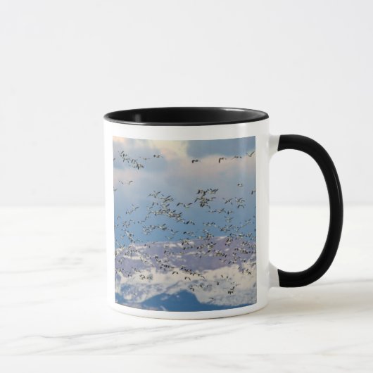 Gänse im Frühjahr Tasse (Rechts)