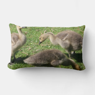 Gänse im Gras Lendenkissen