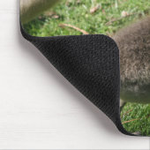 Gänse im Gras Mousepad (Ecke)