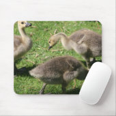 Gänse im Gras Mousepad (Mit Mouse)