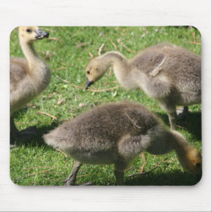 Gänse im Gras Mousepad