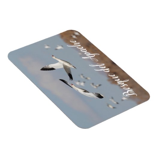 Gänse im Himmel der Bosque del Apache Magnet (Rechte Seite)