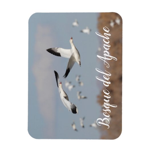 Gänse im Himmel der Bosque del Apache Magnet (Vertikal)