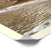 Gänse im Icy Creek Poster (Ecke)