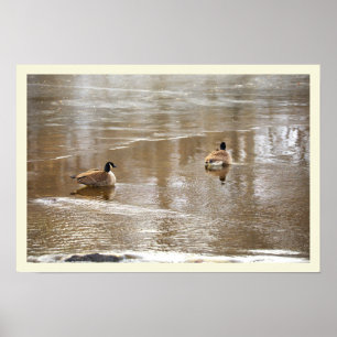 Gänse im Icy Creek Poster