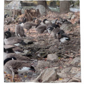 Gänse im Park Duschvorhang (Vorderseite)
