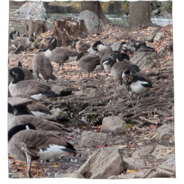 Gänse im Park Duschvorhang