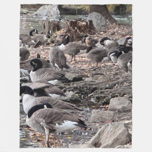 Gänse im Park Flieswolldecke Fleecedecke (Vorderseite)