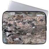 Gänse im Park Laptopschutzhülle (Vorderseite)