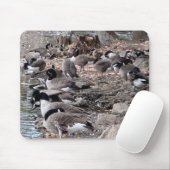 Gänse im Park-Mauspad Mousepad (Mit Mouse)