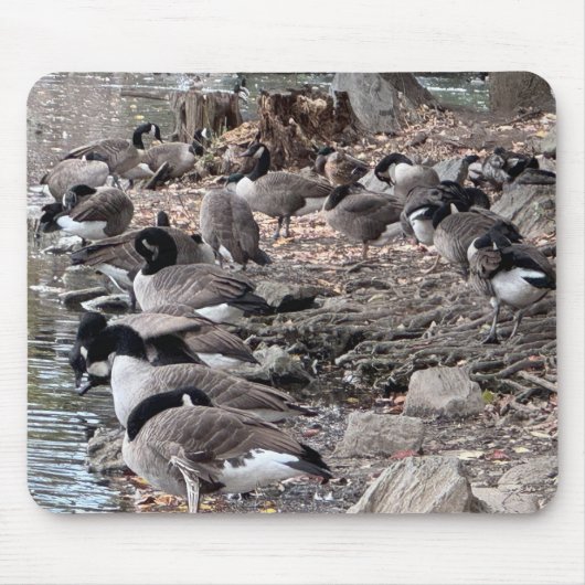 Gänse im Park-Mauspad Mousepad (Vorne)