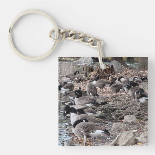 Gänse im Park Schlüsselanhänger (Vorderseite)