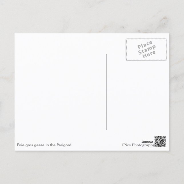Gänse im Périgord, weiße Textkarte Postkarte (Rückseite)