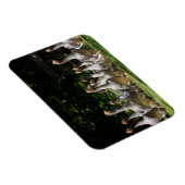 Gänse im rechteckigen Dordogne-Magneten Magnet (Rechte Seite)