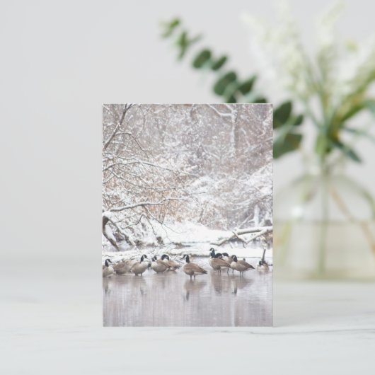 Gänse im Schnee Postkarte (Stehend Vorderseite)