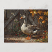 Gänse in der Barnyard Postkarte (Vorderseite)
