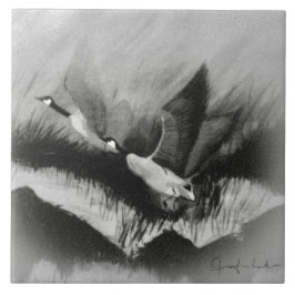 Gänse in der Nebel Fliese