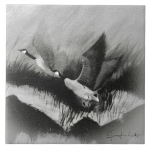 Gänse in der Nebel Fliese