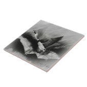 Gänse in der Nebel Fliese (Seite)