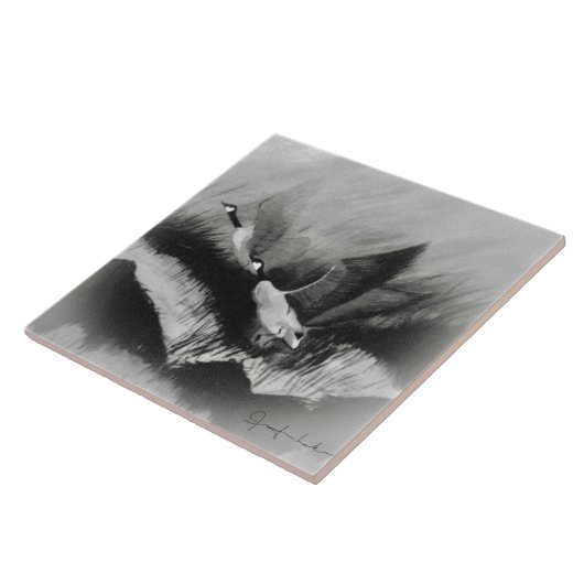 Gänse in der Nebel Fliese (Seite)