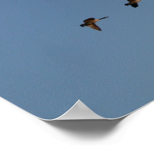 Gänse in Flight Print Poster (Ecke)