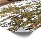Gänse in Schnee von Teich Poster (Ecke)