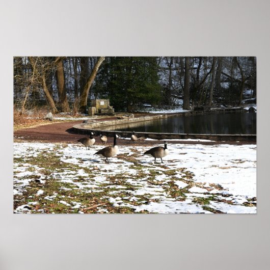 Gänse in Schnee von Teich Poster (Vorne)