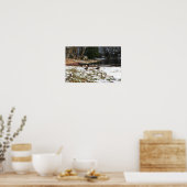 Gänse in Schnee von Teich Poster (Küche)