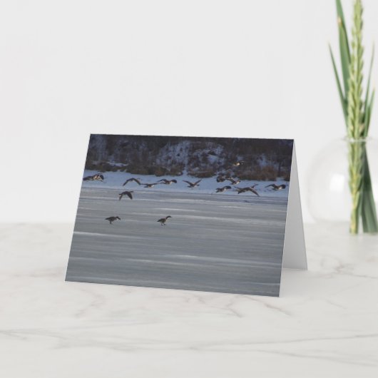 Gänse Karte (Vorderseite)