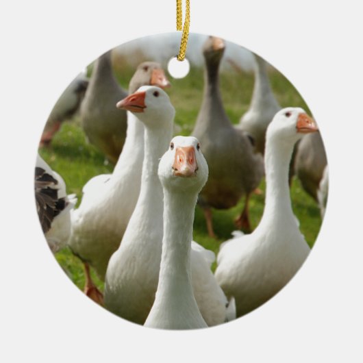 Gänse Keramikornament (Vorne)
