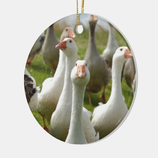 Gänse Keramikornament (Links)
