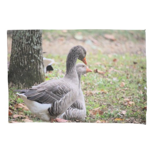 Gänse Kissenbezug (Vorderseite)