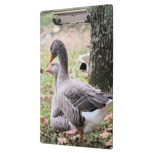 Gänse Klemmbrett (Links)