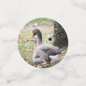 Gänse Konfetti (Klein Vorderseite)