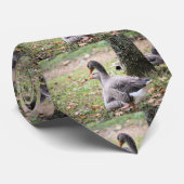 Gänse Krawatte (Gerollt)