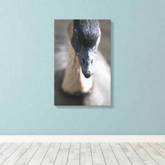 Gänse Leinwanddruck (Insitu (Holzboden))