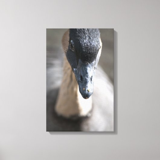 Gänse Leinwanddruck (Vorderseite)