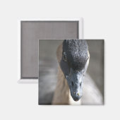 Gänse Magnet (Vorderseite/Rückseite)