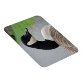Gänse Magnet (Rechte Seite)