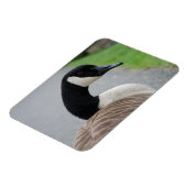 Gänse Magnet (Linke Seite)