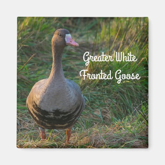 Gänse Magnet (Vorne)