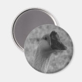 Gänse Magnet (Vorderseite/Rückseite)