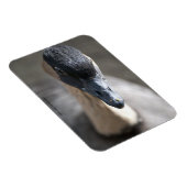 Gänse Magnet (Rechte Seite)