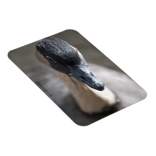 Gänse Magnet (Rechte Seite)
