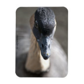 Gänse Magnet (Vertikal)