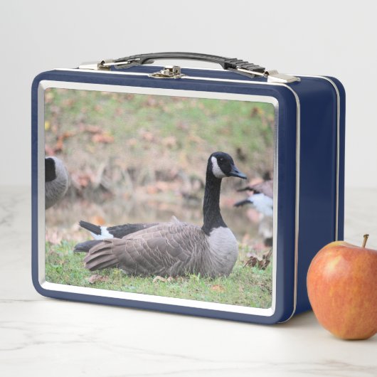 Gänse Metall Brotdose (Beispiel)