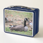 Gänse Metall Brotdose (Rückseite)