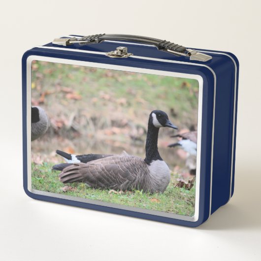 Gänse Metall Brotdose (Vorderseite)